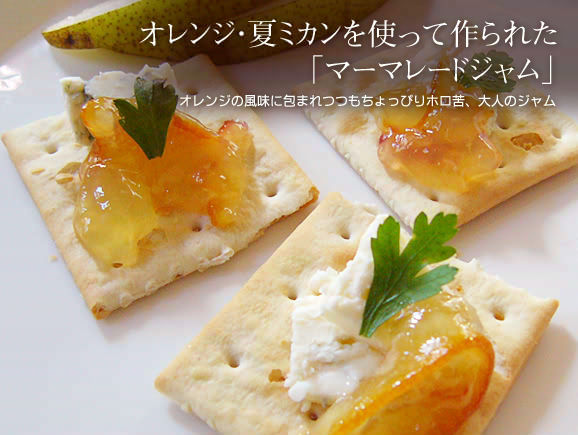 25°jam シトラス マーマレード