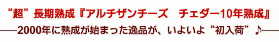 “超”長期熟成『アルチザンチーズ チェダー10年熟成』