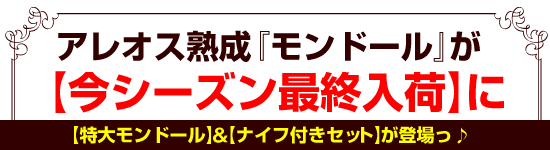 アレオス熟成『モンドール』が【今シーズン最終入荷】に【特大モンドール】&【ナイフ付きセット】が登場っ♪