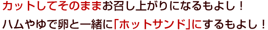 �J�b�g���Ă��̂܂܂������オ��ɂȂ���悵�I�n�����ŗ��ƈꏏ�Ɂu�z�b�g�T���h�v�ɂ�����悵�I 