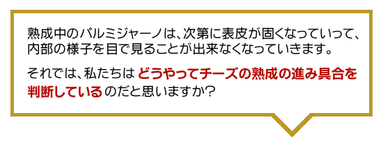 熟成中のパルミジャーノは、次第に表皮が固くなっていって、内部の様子を目で見ることが出来なくなっていきます。
それでは、私たちはどうやってチーズの熟成の進み具合を判断しているのだと思いますか?