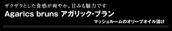 ●Agarics bruns アガリック・ブラン(マッシュルームのオリーブオイル漬け)ザクザクとした食感が爽やか。甘みも魅力です