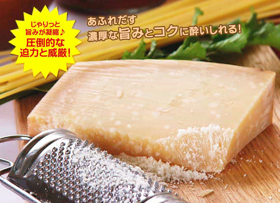 �p���~�W���[�m ���W���[�m 36�����ȏ�n��