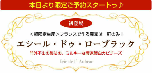 本日より限定ご予約開始!