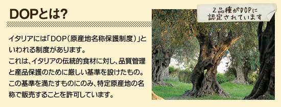 ���u�c�n�o�Ƃ́H�v�@