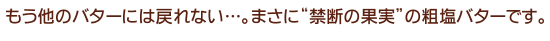 �������̃o�^�[�ɂ͖߂�Ȃ��c�B�܂��Ɂh�֒f�̉ʎ��h�̑e���o�^�[�ł�