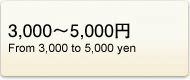 3,000�`5,000�~