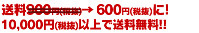 送料945円(税込)→630円(税込)に!