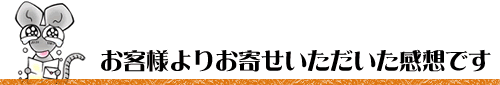 ���q�l��肨�񂹂������������z�ł�