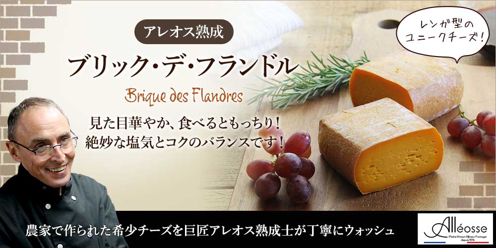 チーズ P アレオス熟成】ブリック・デ・フランドル 1/2カット / 世界の