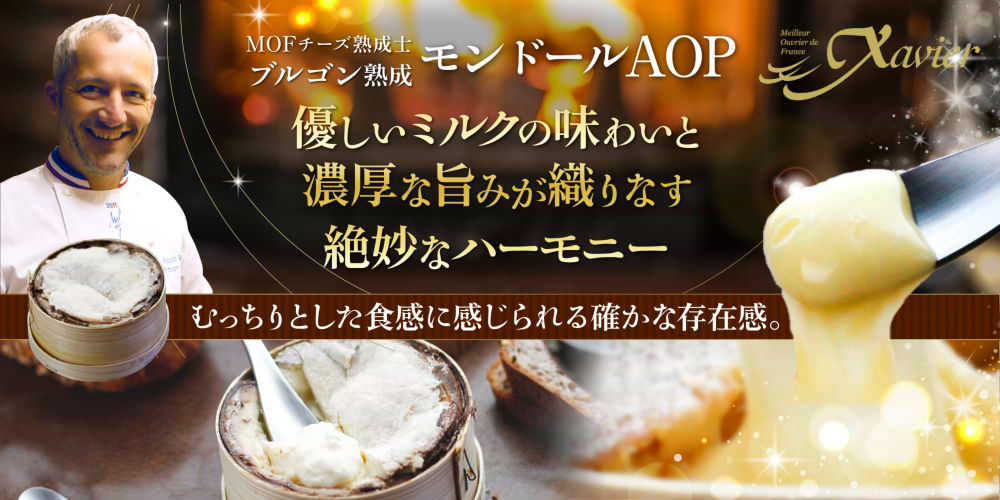 【MOF F ブルゴン熟成】モンドールAOP 約450g(最短便)