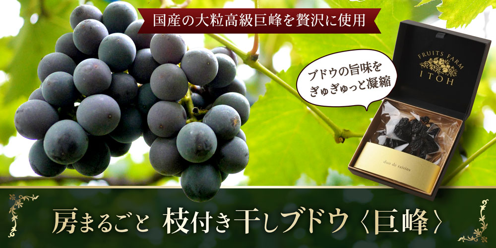 房まるごと 枝付き干しブドウ＜巨峰＞
