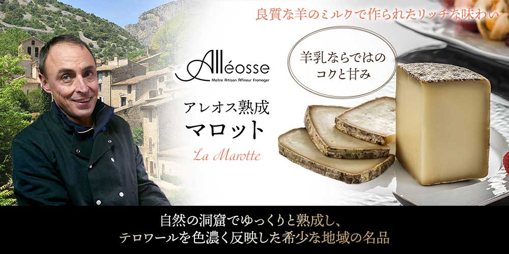 【P アレオス熟成】マロット