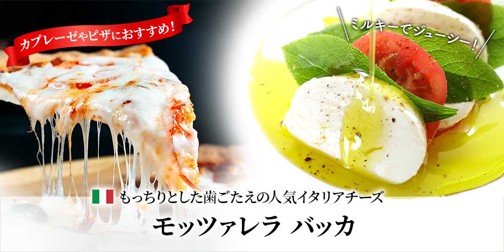 モッツァレラ バッカ 約100g