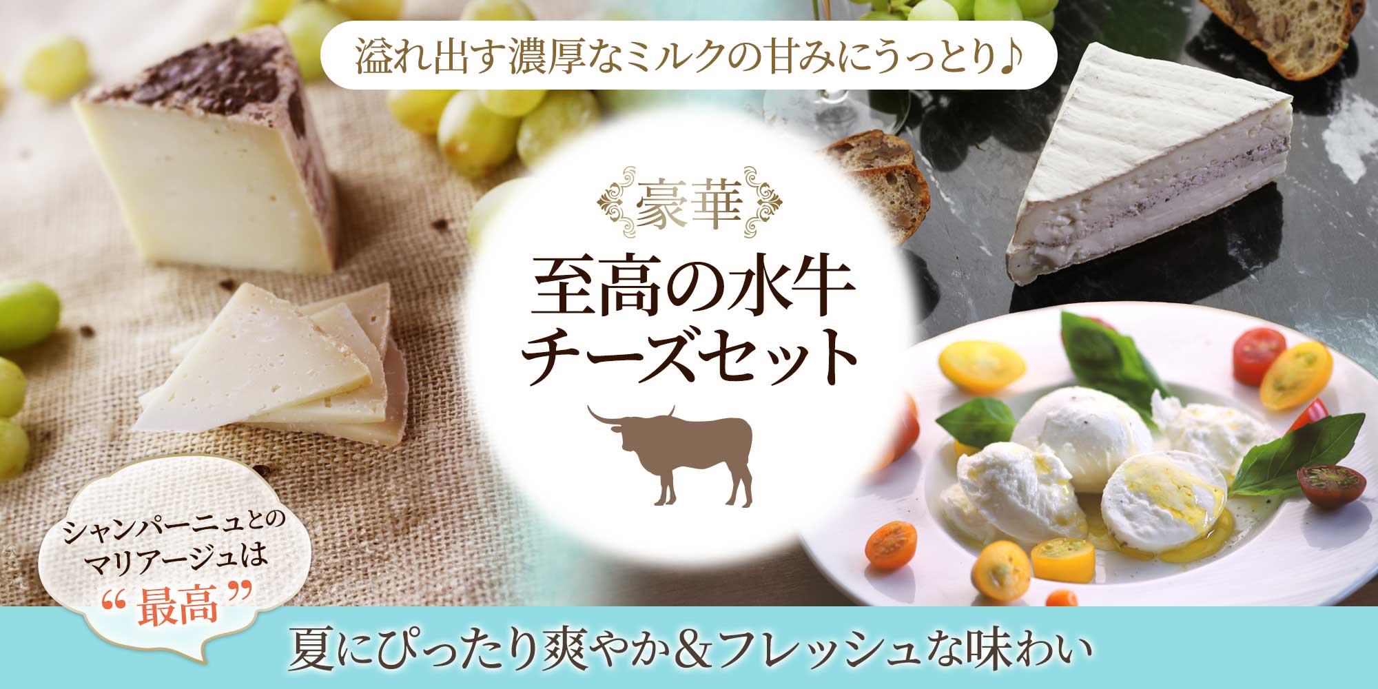 チーズさま専用ページ 冷蔵] 型抜き チーズ 15g×40個 QBB 業務用 - 【通販モノタロウ】