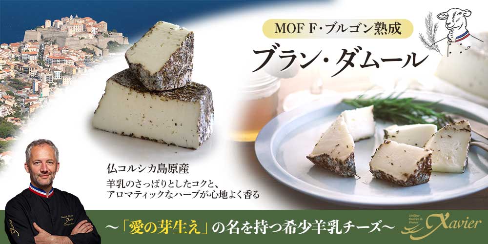 ラファエル コンプリート コンフォーターセット クイーン パープル 8pc Goose Down Bed In Aバッグ フル パープル ラファエル