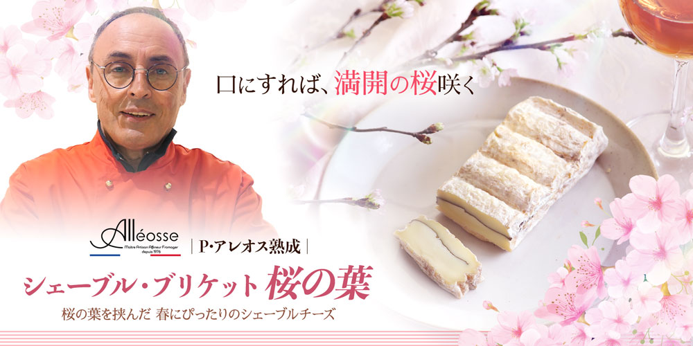 【P アレオス熟成】シェーブル・ブリケット桜の葉 約220g