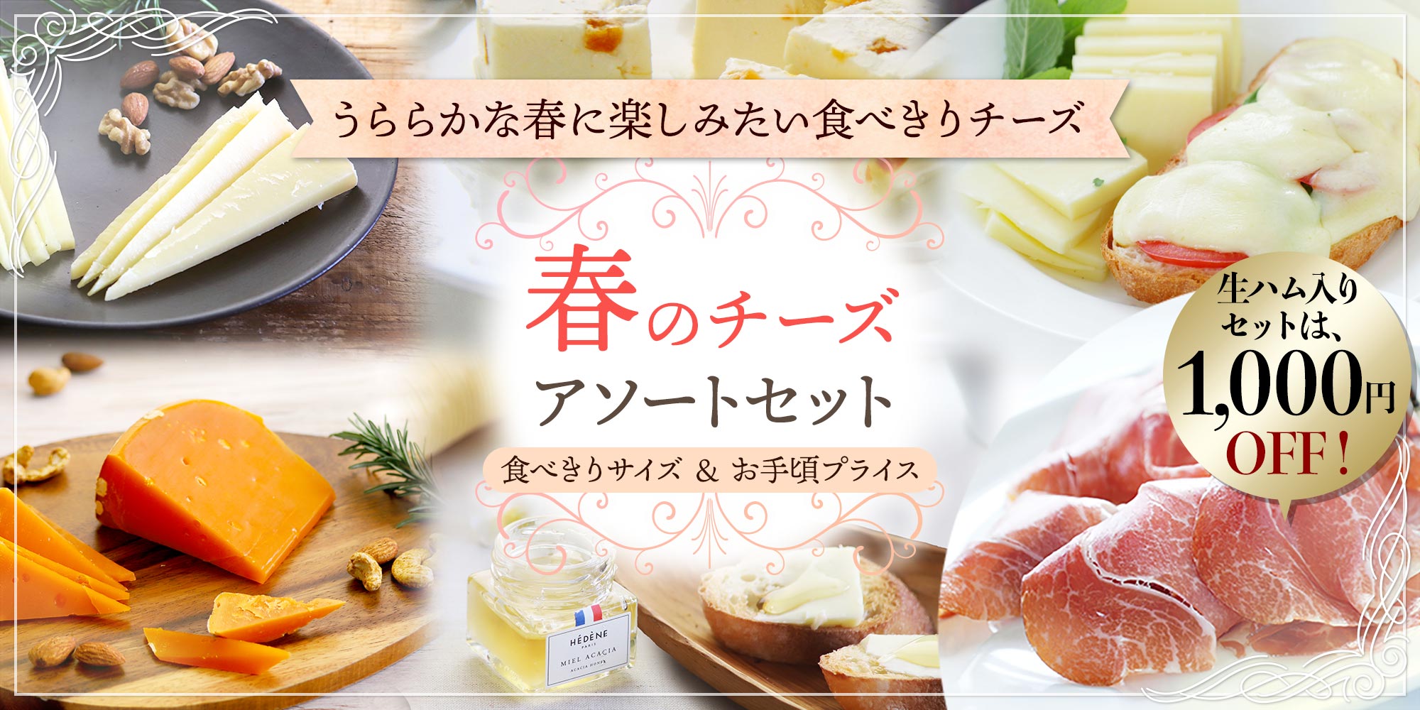春のチーズアソートセット 2026