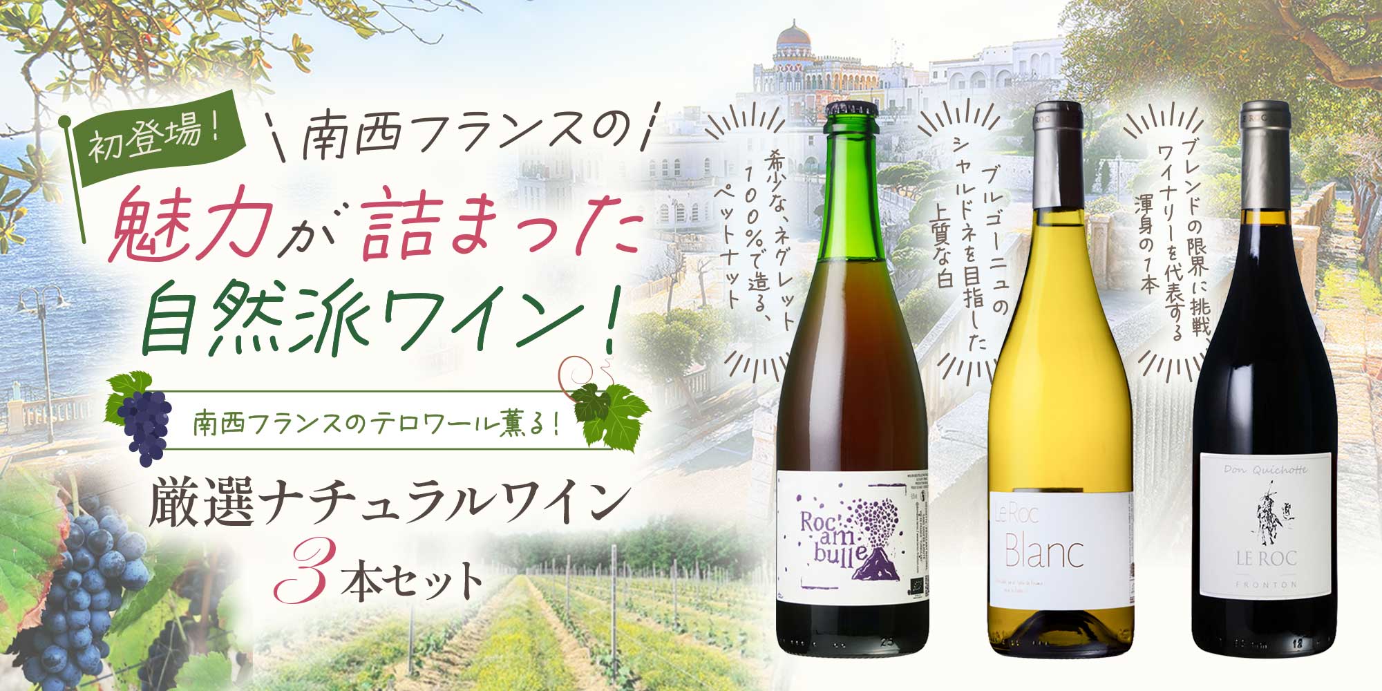 南西フランスのテロワール薫る　厳選ナチュラルワイン3本セット