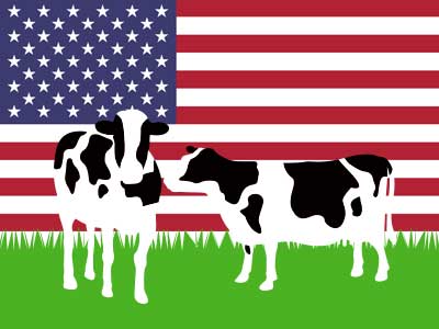 アメリカは世界最大のチーズ生産国