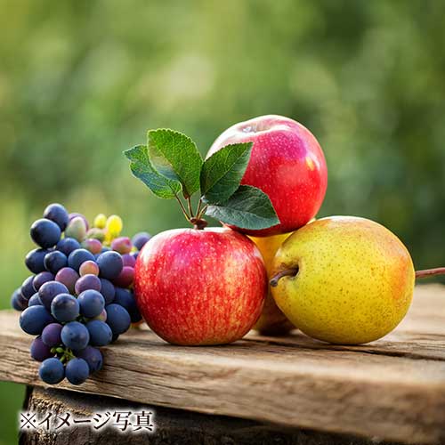 りんご・洋梨・ぶどうなどのフレッシュフルーツ