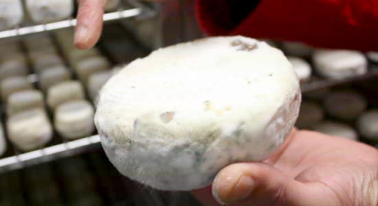 フレッシュな表皮の周りに少しずつカビを発生させて、表皮を固くしていきます。