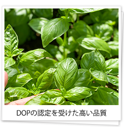 DOPの認定を受けた高い品質