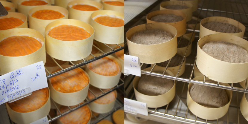 エポワス(左)とエジー・サンドレ(右)