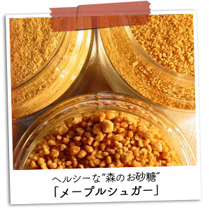 ヘルシーな森のお砂糖「メープルシュガー」