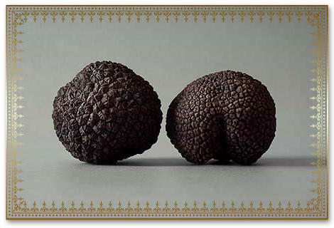 黒トリュフ
