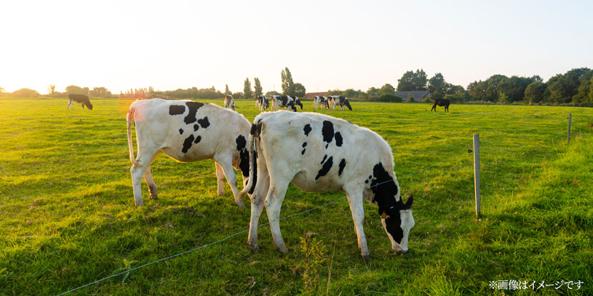 農場イメージ