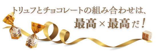 トリュフとチョコレートの組み合わせは最高×最高だ！