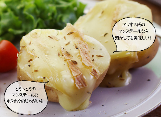 【P アレオス熟成】マンステール・フェルミエAOP