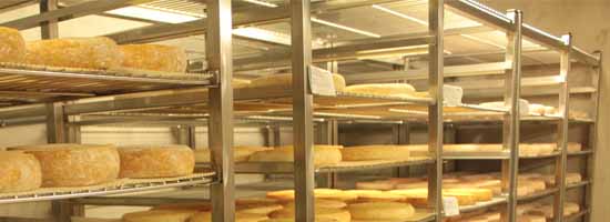 マンステールの熟成庫