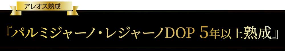 パルミジャーノ・レジャーノ５年以上