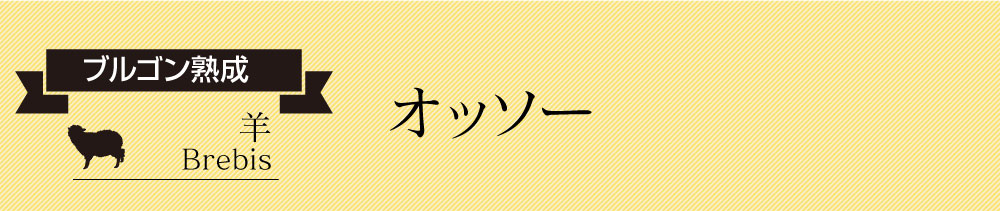 オールドビンテージドットコム ビンテージワイン通信 オールドビンテージドットコム ビンテージワイン通信