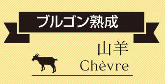 ブルゴン熟成 山羊乳チーズ