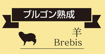 ブルゴン熟成 羊乳チーズ