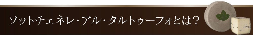 ソットチェネレ・アル・タルトゥーフォとは