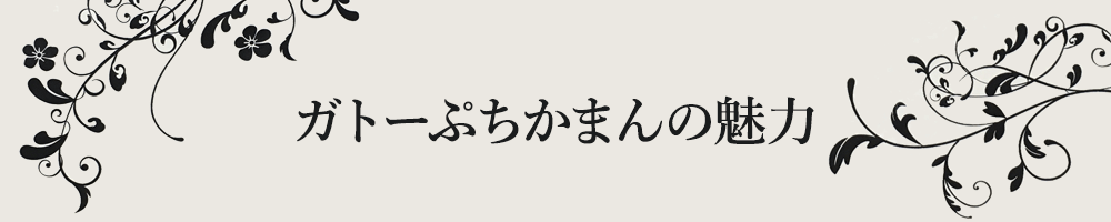 ガトーぷちかまんの魅力