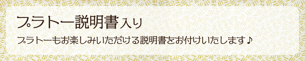プラトー説明書入り　プラトーもお楽しみいただける説明書もお付けいたします♪