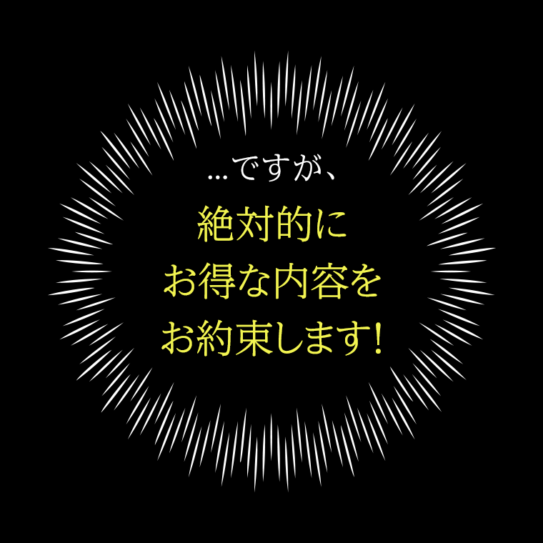 ...ですが、絶対的にお得な内容をお約束します！