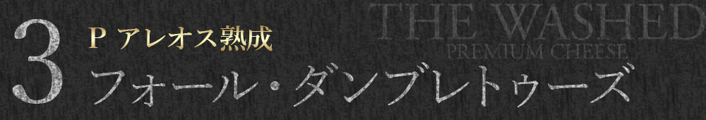 フォール・ダンブレトゥーズ