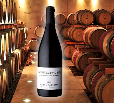 メゾン・パニョッタ 『シャンボール・ミュジニー1級 オ・ゼシャンジュ 2018年』