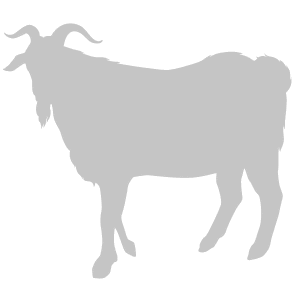 山羊