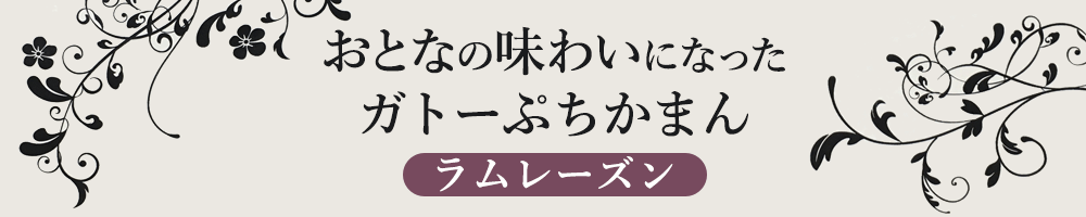 おとなの味わいになったガトーぷちかまん(ラムレーズン)
