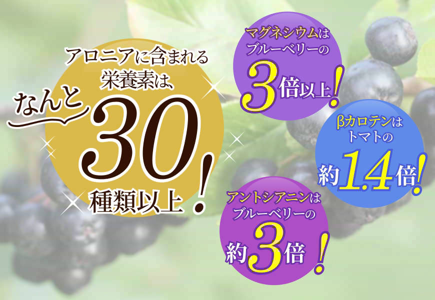 アロニアに含まれる栄養素はなんと30種類以上! アントシアニンはブルーベリーの約３倍! マグネシウムはブルーベリーの３倍以上! ベータカロテンはトマトの約1.4倍!