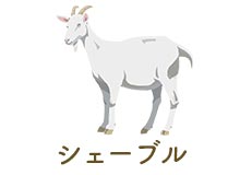 シェーブル