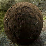 MOF巨匠フィリップ・ベル トリュフ プレミアム