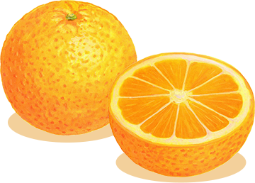 オレンジ イメージ